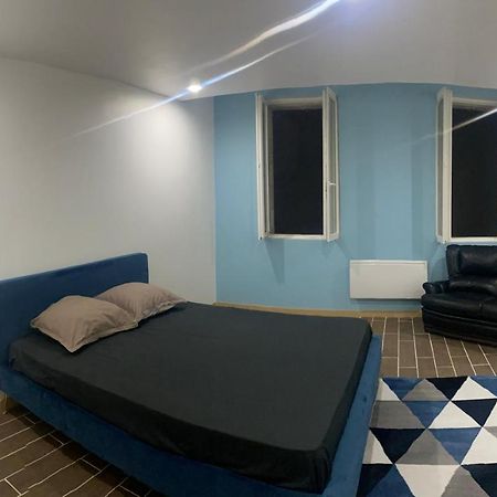 Appartement Du Chateau Graulhet Екстериор снимка
